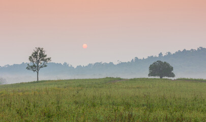 Fototapeta na wymiar Colorful in the morning at Phu Khieo wildlife Sanctuary, Thailand.