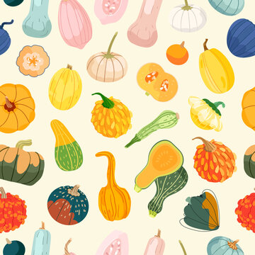 Seamless pattern of colorful pumpkins. Flat style Vector harvest vegetable illustration. Halloween Thanksgiving element
