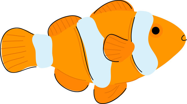 Hand drawn style ocean Clownfish