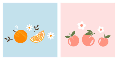 Orange, peach fruit and white flower on blue and pink background vector illustration.
