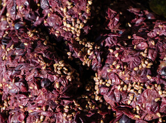 Grapes pomace. Grape pulp. Waste. Wine-making process.