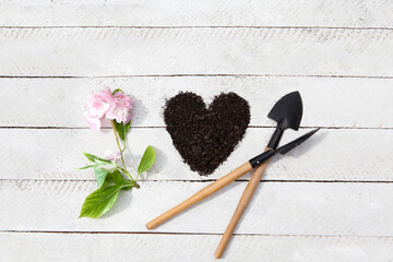 Gardening tools with earth and flower top view on white wooden planks background with copy space....