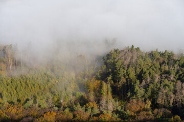 Fototapeta premium Herbstliche Landschaft - bunt gefärbter Wald
