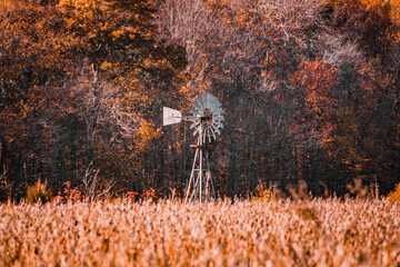 wind mill in autumn