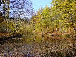 Kleiner Teich in der Nähe der Drachenschlucht bei Eisenach in Thüringen an einem herbstlichen Tag