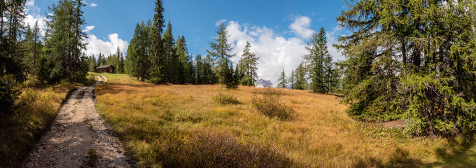 Peaceful alpine meadow in the Fanes Sennes Prags Nature Park in the Dolomite Alps, South Tirol