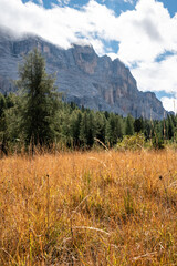 Fototapeta premium Peaceful alpine meadow in the Fanes Sennes Prags Nature Park in the Dolomite Alps, South Tirol