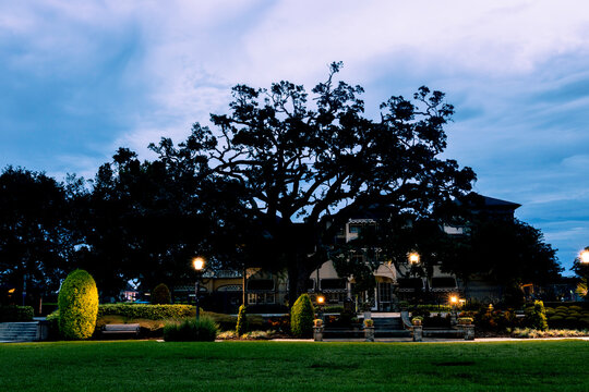 Night In The Park At Rockefeller House