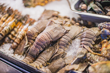 Flathead lobster in a fresh market in Thailand