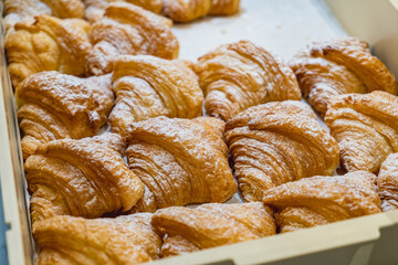 Many delicious butter croissant in market