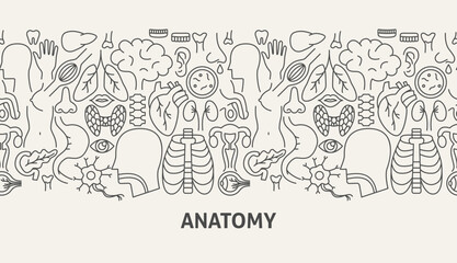 Anatomy Banner Concept. Vector Illustration of Outline Design.