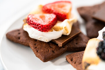 Fruit Smores