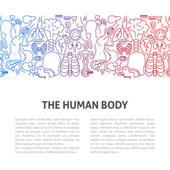 Fototapeta premium The Human Body Line Template. Vector Illustration of Outline Design.