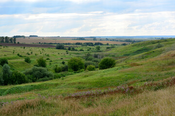 Fototapeta na wymiar valley with rolling hills and green bushes and cloudy sky