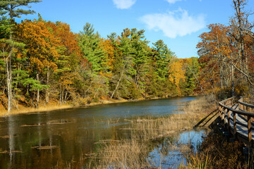 Fototapeta na wymiar Old Ausable Channel river in the Pinery Provincial Park ontario canada in the autumn season