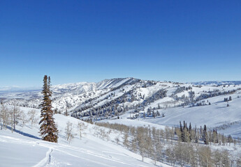 Fototapeta na wymiar Powder Mountain Ski resort in Utah 