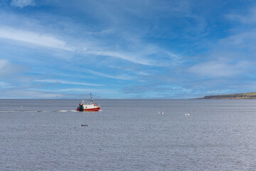 A scenic view of dolphins folllowing a fishing boat under a beautiful blue sky and some white clouds