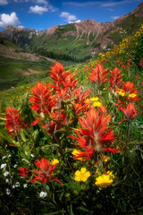 Glorious Gulch