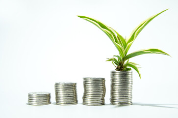 Make money grow concept