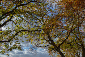 Marburg Oberstadt nahe Lutherischer Kirche