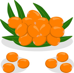 Sweet juicy tasty natural eco product sea buckthorn