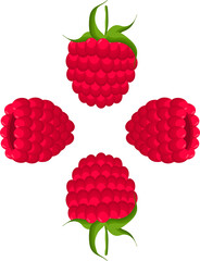 Sweet juicy tasty natural eco product raspberry