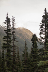 The Olympic Mountains