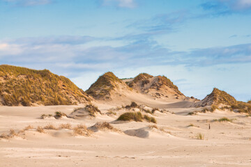 Fototapeta na wymiar Dunes on Amrum