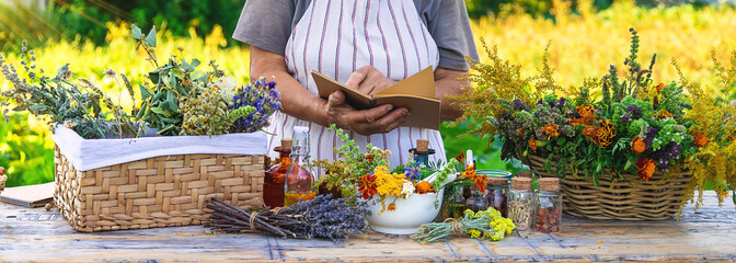 Grandmother makes tinctures from medicinal herbs. Selective focus.