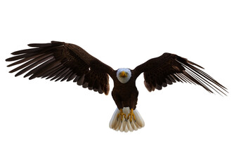 American bald eagle isolated on transparent background. 3D rendering. PNG