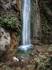 waterfall in the woods