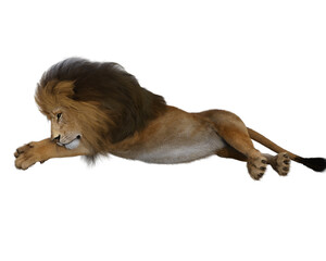 Lione resting on transparent background, 3 D rendering