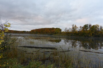 Maplewood State Park