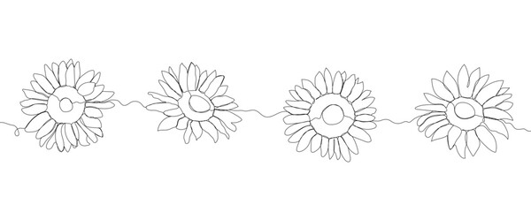 Sunflower in continuous line art drawing style. Black linear sketch isolated on white background. Vector illustration