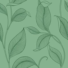 Fototapeta premium Luxury seamless pattern with striped leaves. Elegant floral background in minimalistic linear style. Trendy line art design element. Vector illustration.
