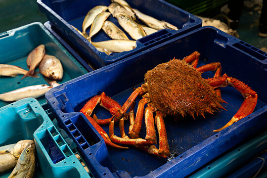 Pescados y centollo en mercado.