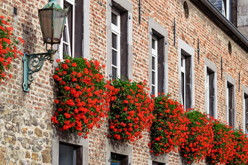 Hanging geraniums on wall of medieval building in October in Aachen Germany. Abstract urban or...