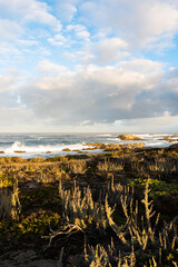 Morning along rocky Pacific coast of California with clouds, plants on shore, partial rainbow - 543906418