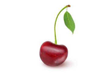 Cherry on an isolated white background