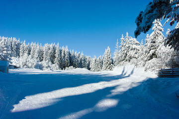 Winter landscape of Vitosha Mountain, Bulgaria