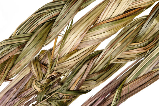 Sweet grass braid (Hierochloe odorata), also called vanilla grass, used by indigenous peoples in North America as herbal medicine and incense (smudges) to attract good spirits. Close up, top view.
