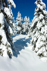 Winter landscape of Vitosha Mountain, Bulgaria