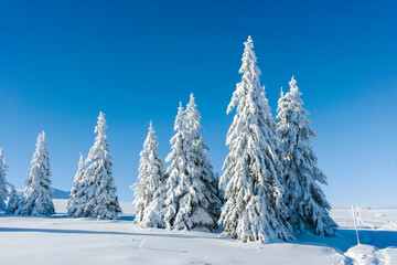 Winter landscape of Vitosha Mountain, Bulgaria