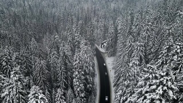 aerial view of snowed winter road in carpathian mountains