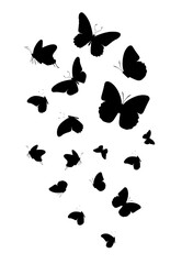 Flock of silhouette black butterflies on white background. Vector