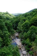 River in Ardeche in France, Europe