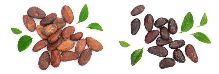 cocoa bean with leaf isolated on white background top view. Flat lay