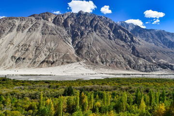 Nubra Valley to Pangong Tso Lake, Ladakh (India)