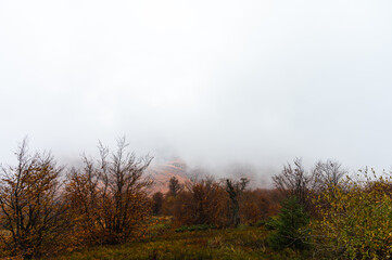 misty mountains, forest. Ukrainian mountains, fog