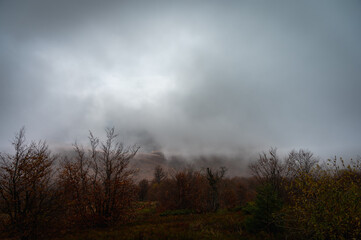 Naklejka na ściany i meble misty mountains, forest. Ukrainian mountains, fog